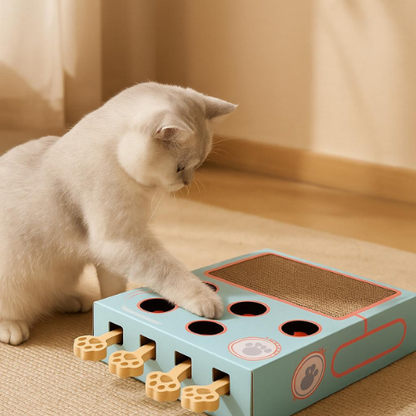 PawPursuit Box™