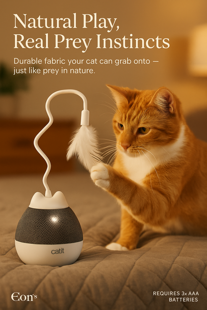 Your Cat’s New Obsession – Stops Boredom & Destructive Behavior
