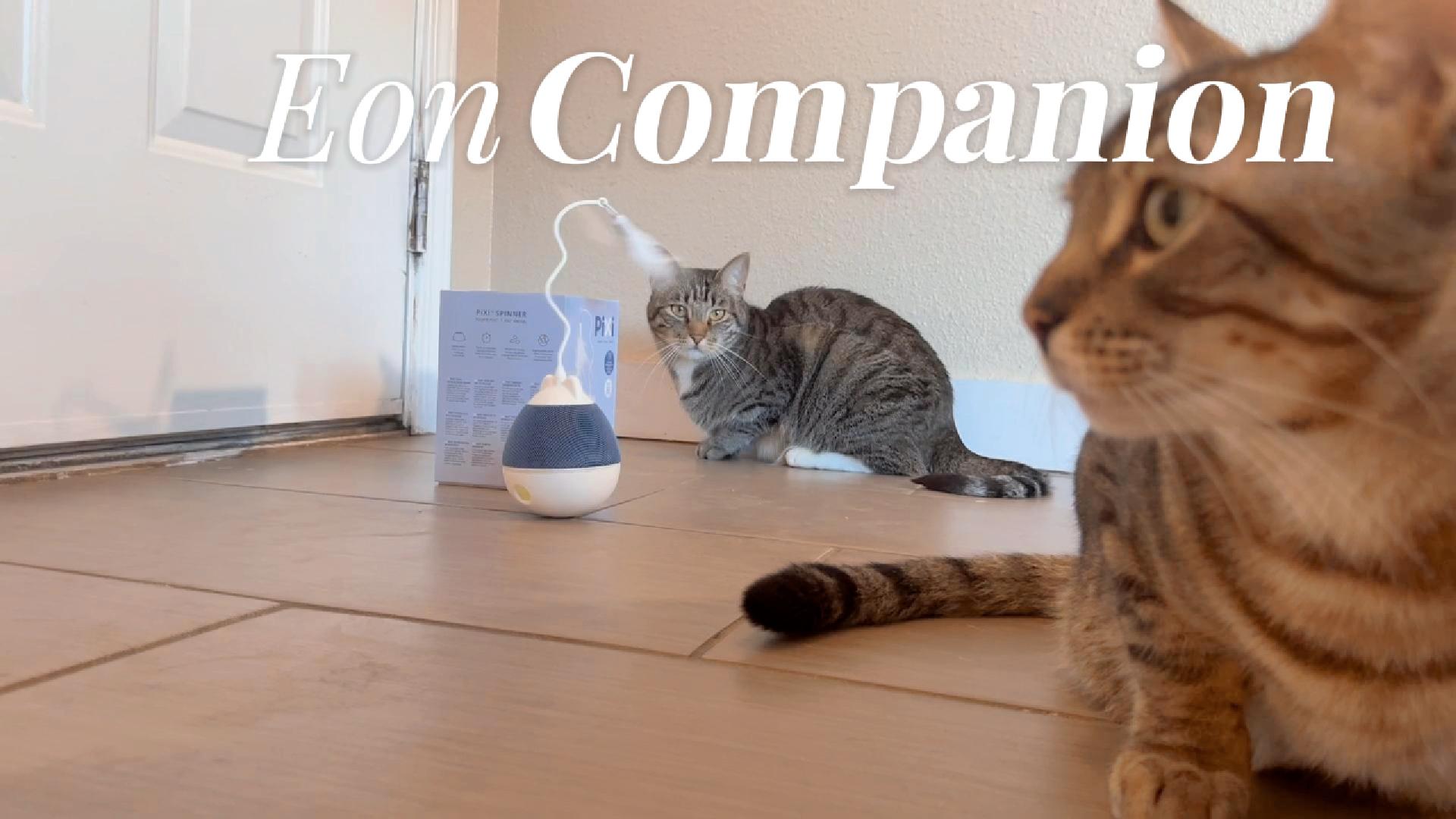 Load video: Two Cats playing with the Catit PIXI Spinner, a motion- activated enrichment toy with a feather tease.